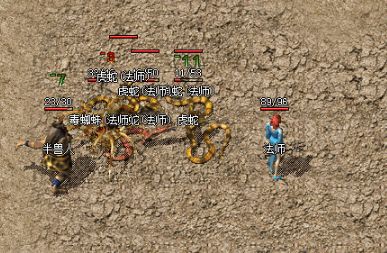 新开私服发布网流出神技：之光强化宝宝血防，法师站撸一切